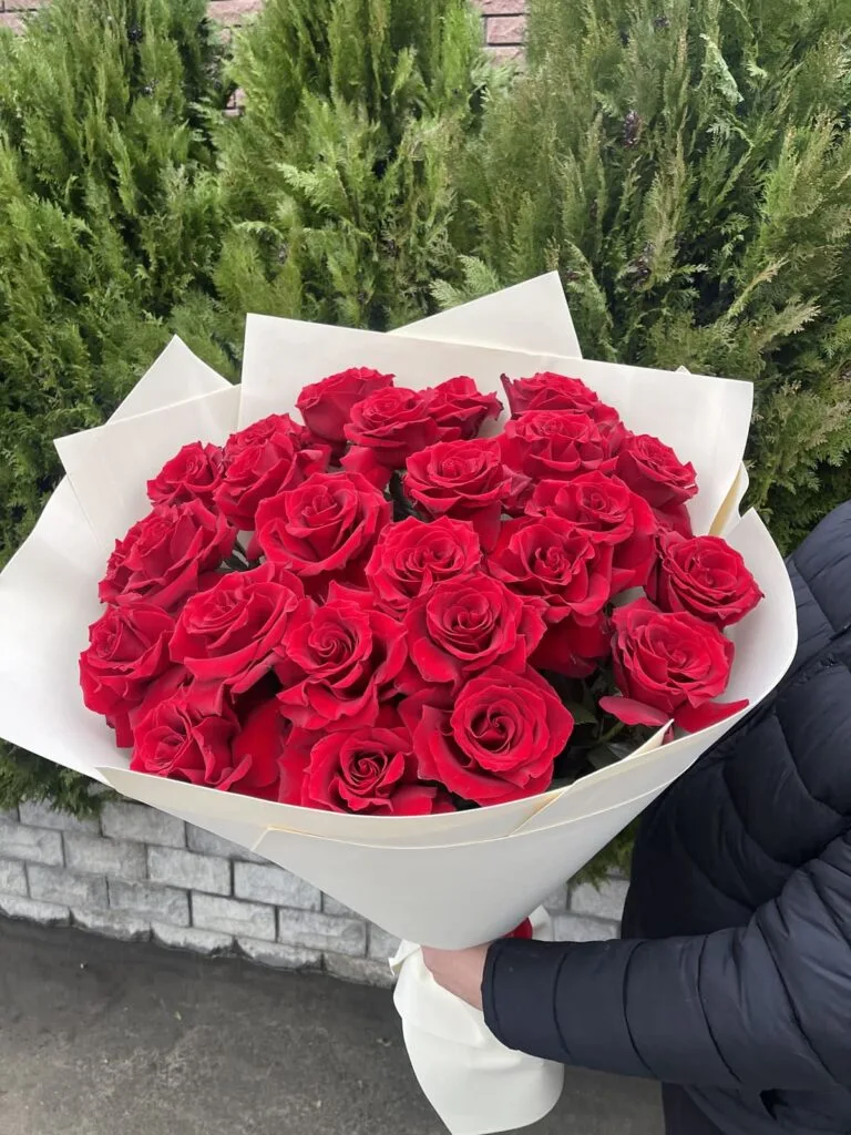 Букет из розы французского выворота сорта Эксплорер 25 шт. фото