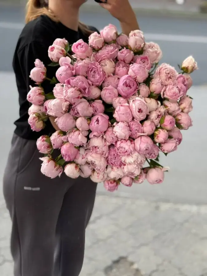 Розовые пионы фото